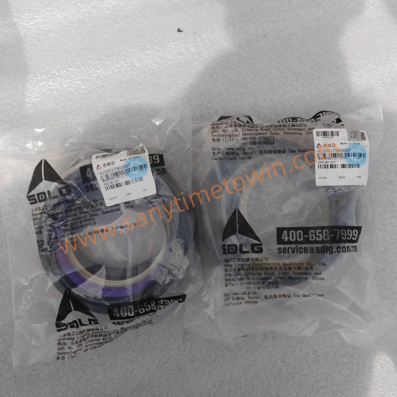SDLG high quality original spare parts 4120017965007 SEALING KIT for wheel loader excavator - Image 3
