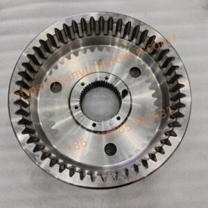29070000481